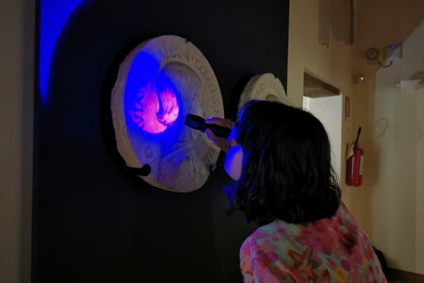 Elisabetta Carlino Indagine UV